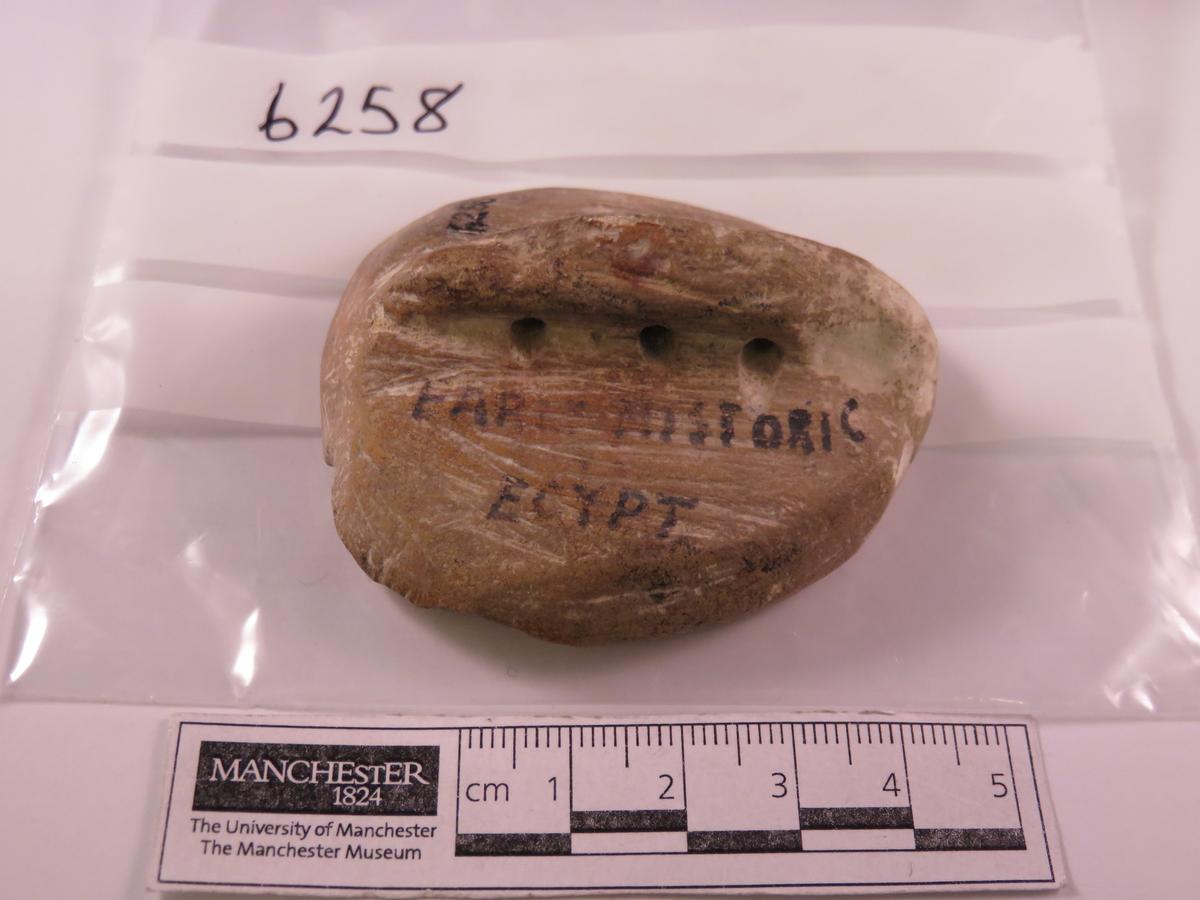 Seal