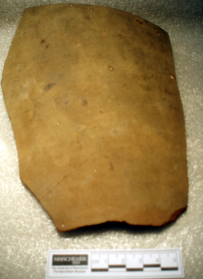 Ostracon