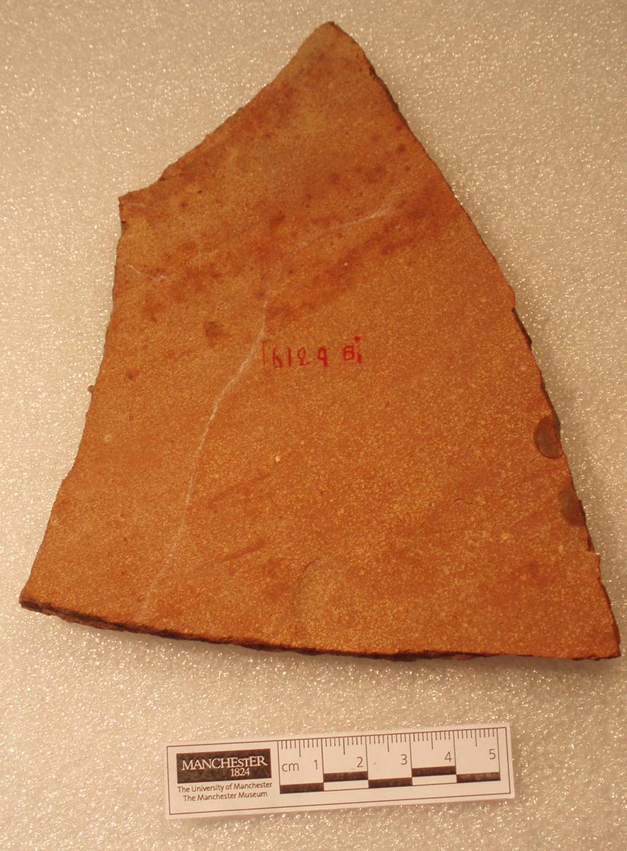Ostracon