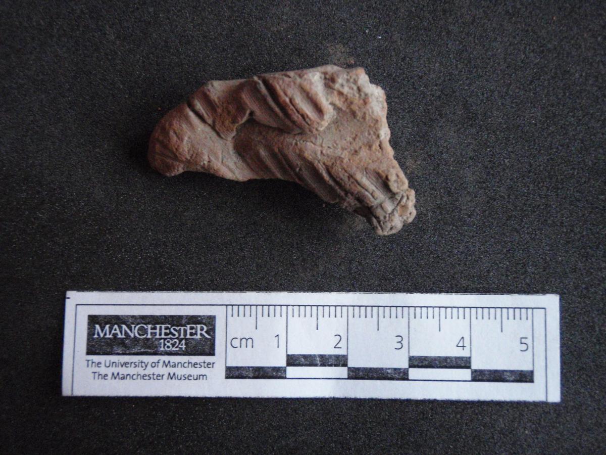 Artefact